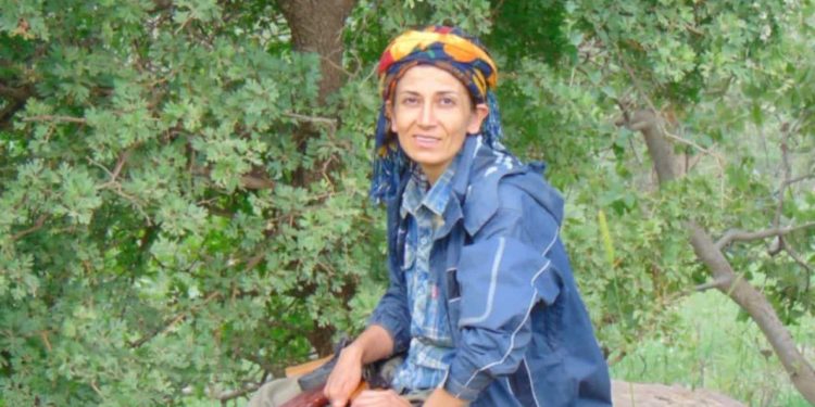 پخشان عزیزی؛ مددکار اجتماعی یا عضو گروههای تروریستی؟