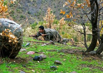 تأثیرات مخرب پ‌ک‌ک بر اکولوژی کردستان