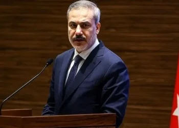 پاسخ بقائی به اظهارات وزیر خارجه ترکیه علیه ایران