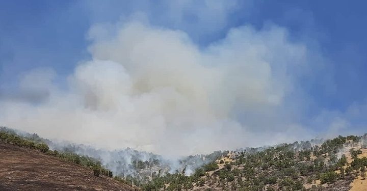 ارتش ترکیه طی یک هفته ۱۲۸ بار اقلیم کردستان را هدف قرار داده است