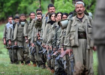 سیاستمدار کُرد: در مورد نیت برخی شاخه‌های پ.ک.ک تردید دارم