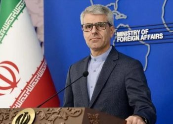 بقائی: امیدواریم خلع سلاح پ‌.ک‌.ک منجر به ثبات و امنیت در منطقه باشد