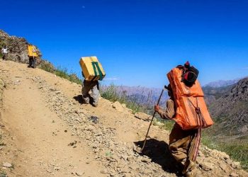 واردات به رویه کولبری با قانون جدید در آذربایجان غربی آغاز شد