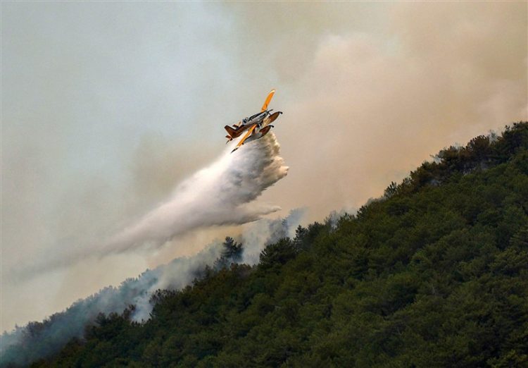 گسترش آتش سوزی در ترکیه و انتقاد از سوء مدیریت دولت