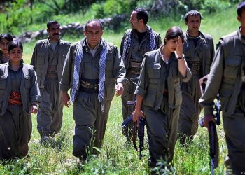 زیرشاخه‌های پ.ک.ک باید همزمان خلع سلاح شوند